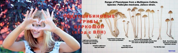 дурь Вязники