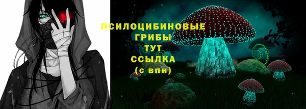 альфа пвп Горнозаводск