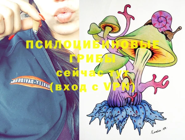 дурь Вязники