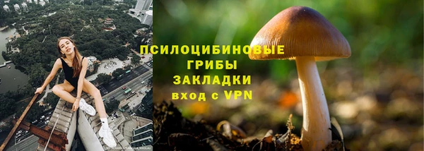 меф Гусев