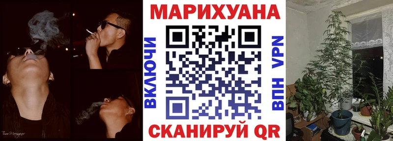Бошки марихуана SATIVA & INDICA  Дмитров 